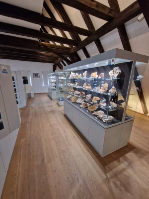 Blick in die helle Mineralien-Ausstellung des MiMa Museums in Oberwolfach